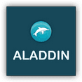 logo abri piscine aladdin concept