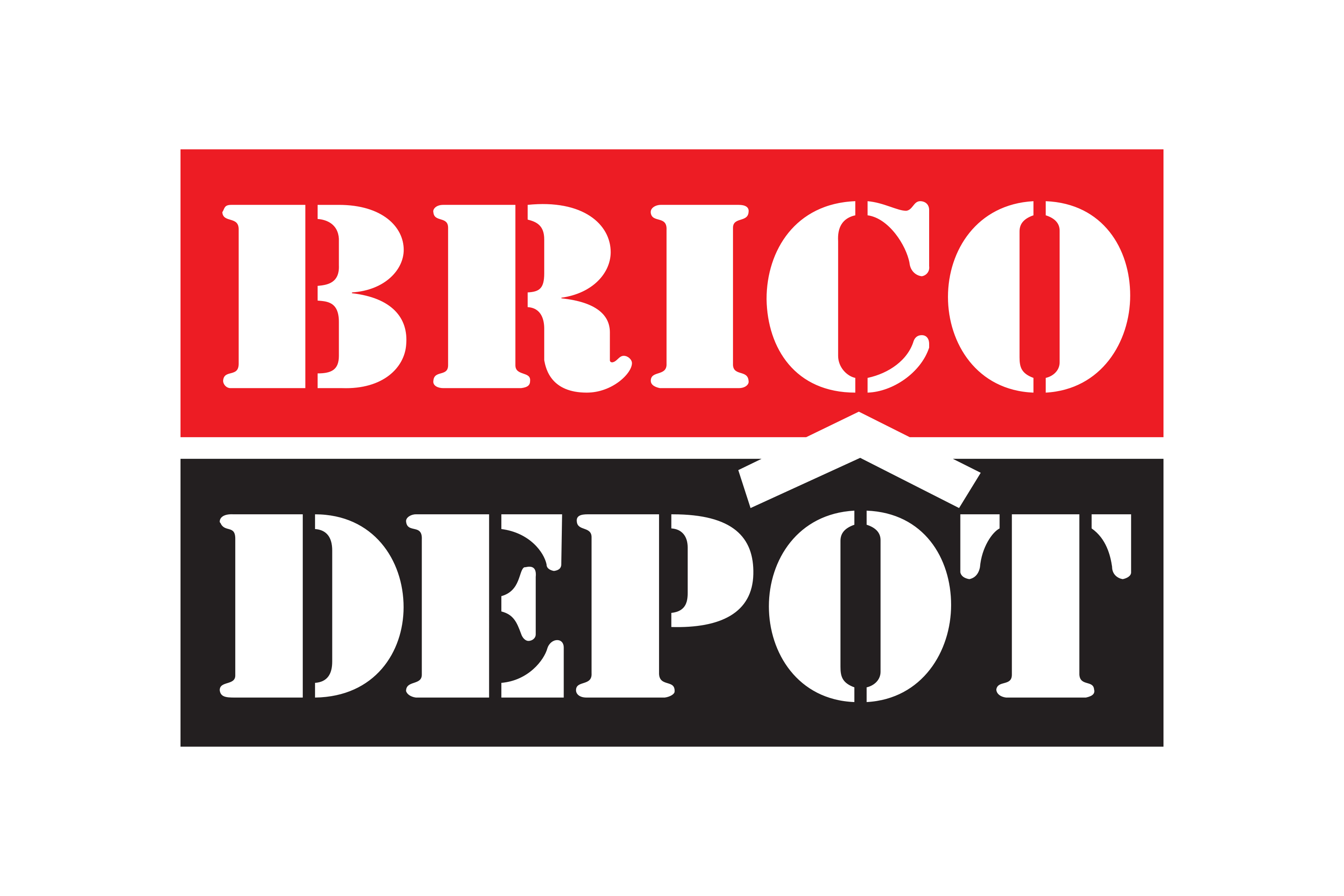 Brico_Depot-Logo