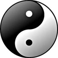 taijitsu du yin-yang