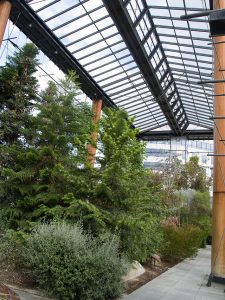 grande serre en fer forgé