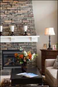 salon avec une cheminée